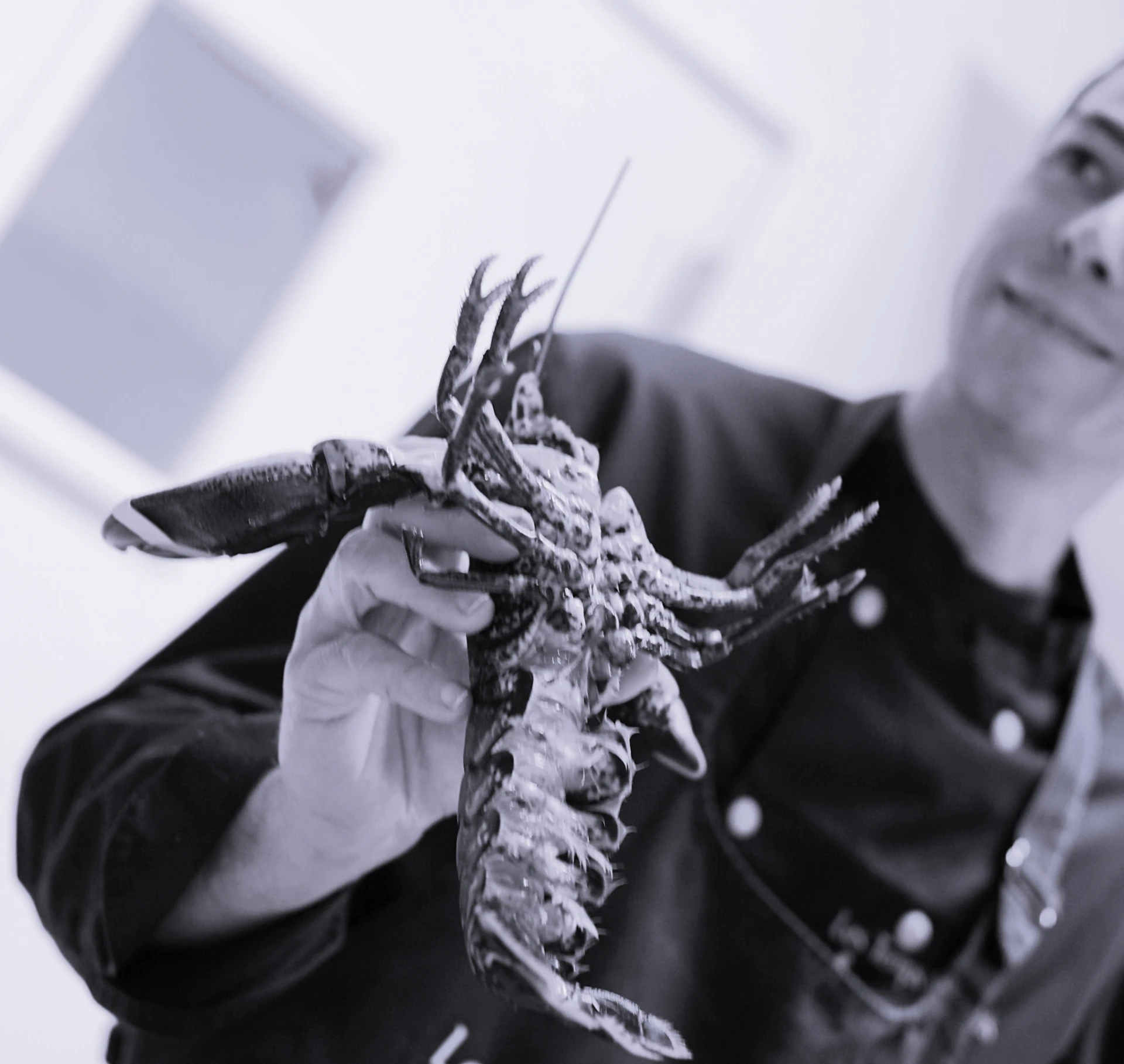 Raphaël Rolland, ancien chef étoilé au Guide Michelin, tenant un homard breton dans la cuisine des Temps Gourmands à Pont-l'Abbé